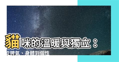 貓的特質|貓咪真的獨立嗎？探索貓咪的體格與個性特質 